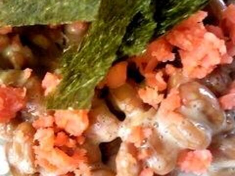 納豆サーモンごはん